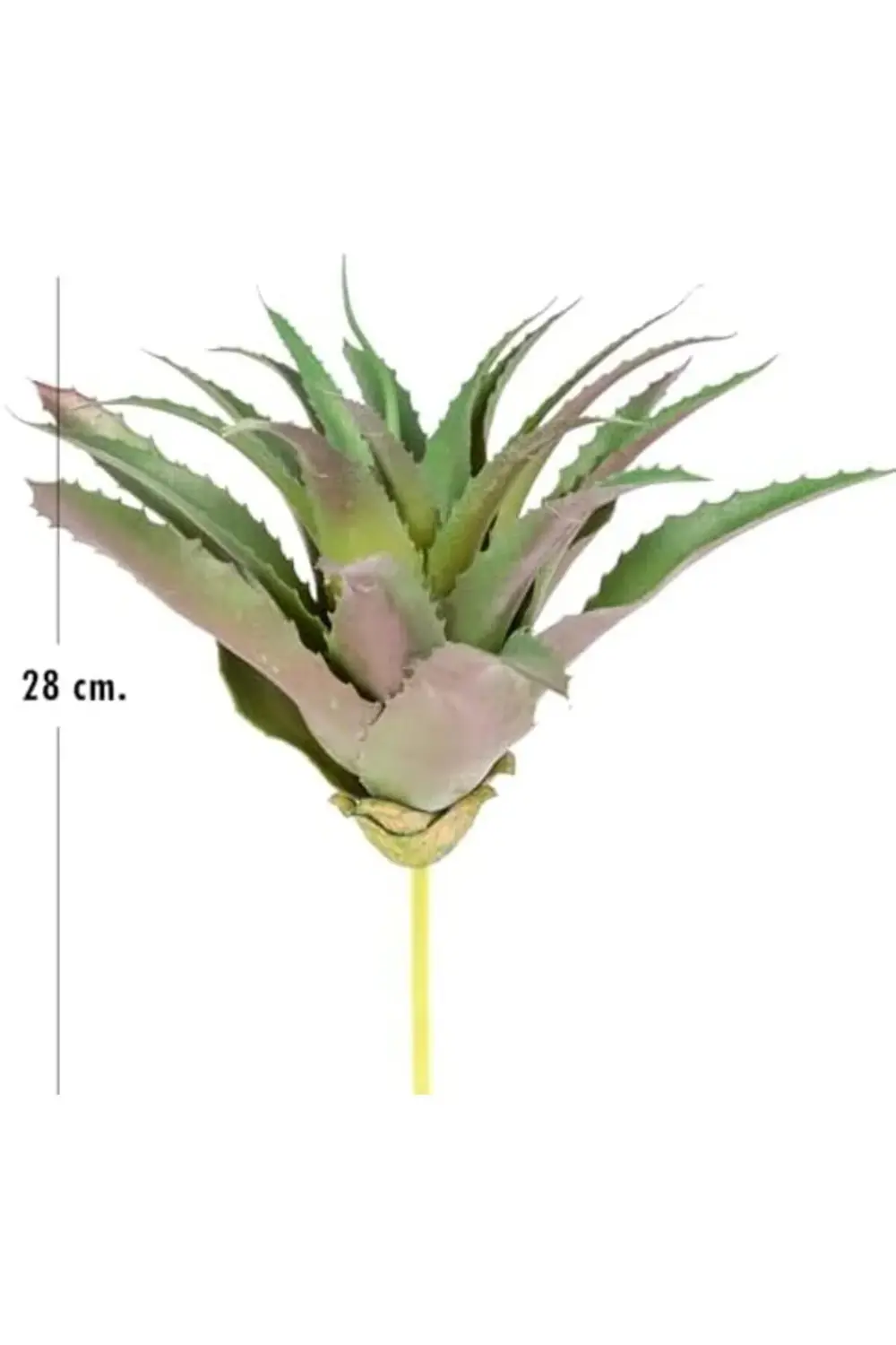 VegaShop Yapay Kaktüs Sukulent Yeşil 28 Cm atelier 1032927