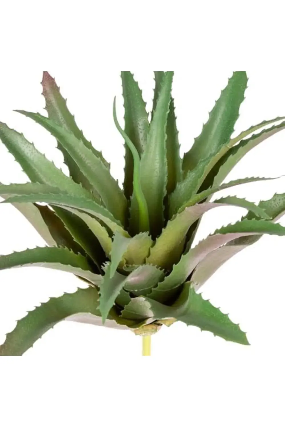 VegaShop Yapay Kaktüs Sukulent Yeşil 28 Cm atelier 1032927