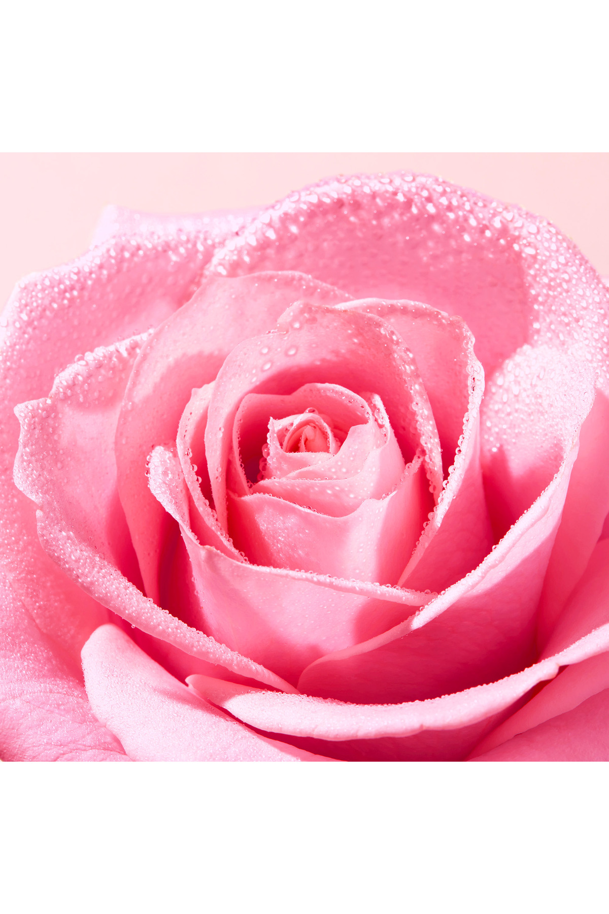 Nuxe Very Rose Yüz Peelingi 75 Ml