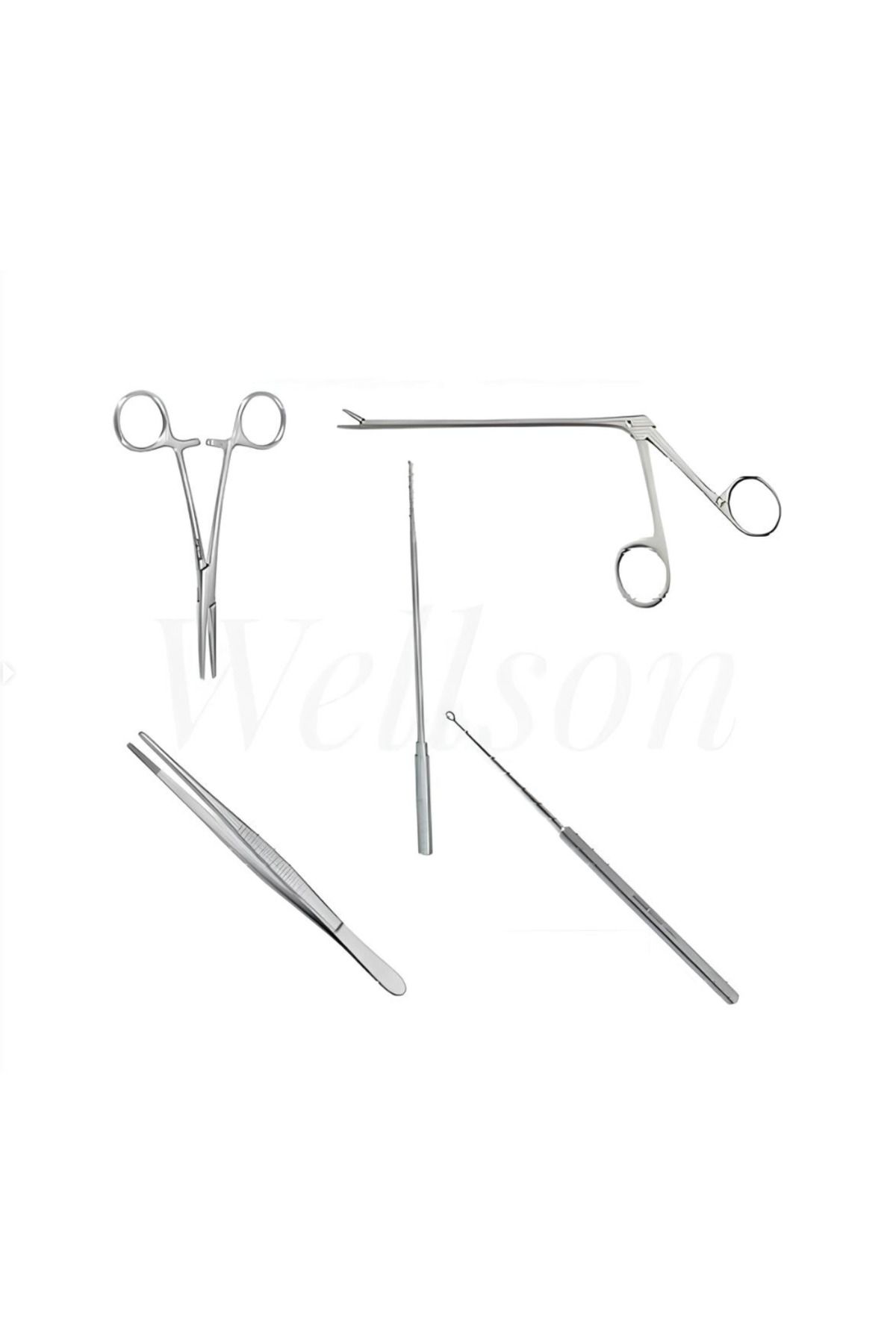Wellson Veteriner Hekim Kulak Muayene Seti