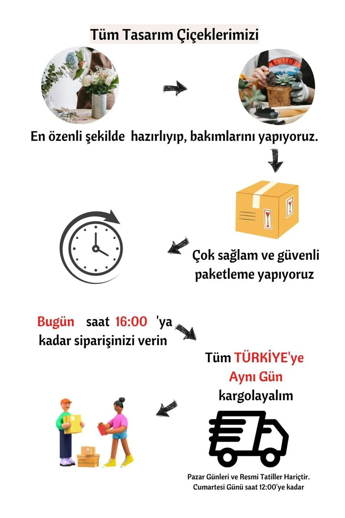 Vintage Seramik Saksıda Zeytin Bonsai & Bonsai Ağacı & Hediyelik 