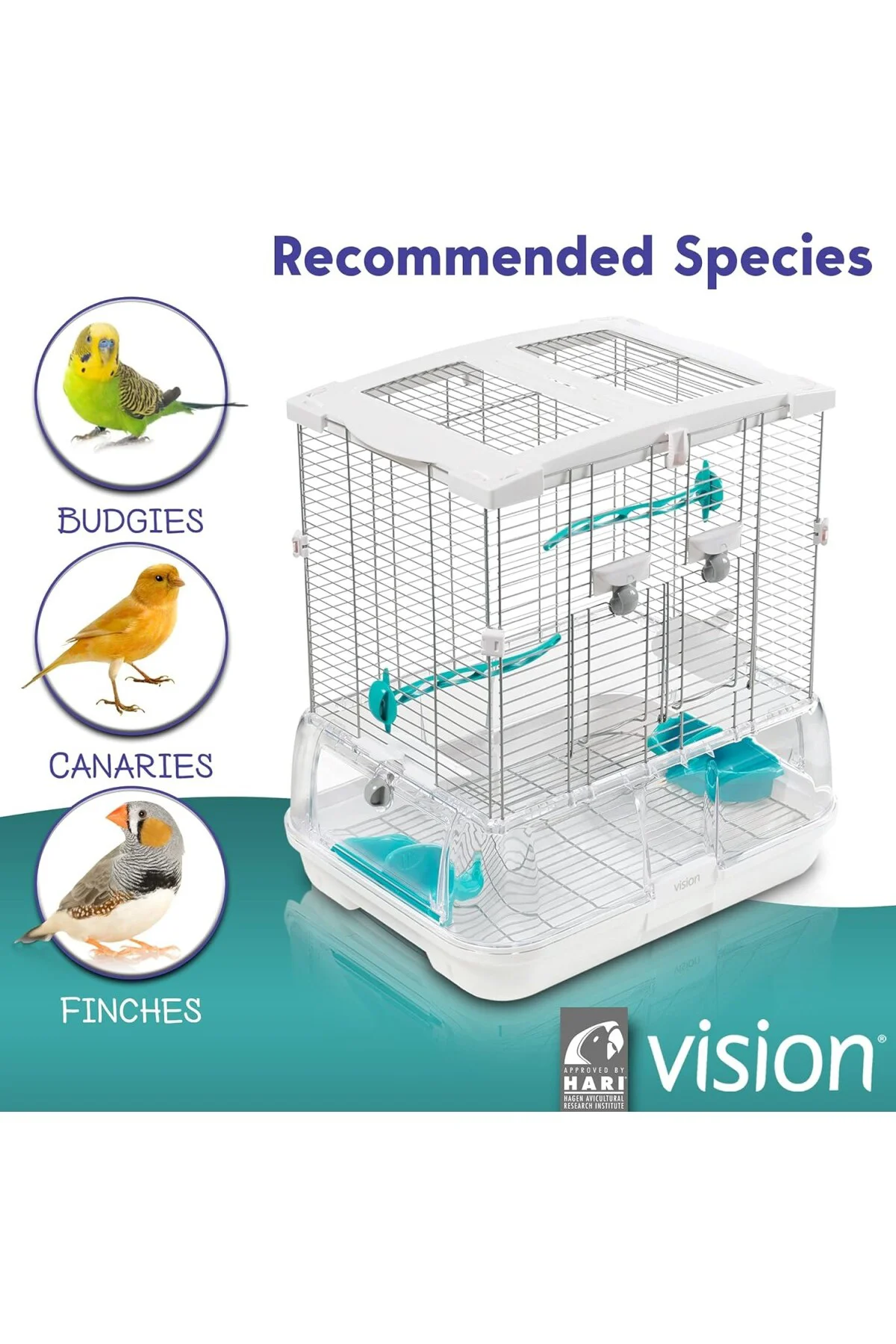 Vision Kafes S01 Kısa