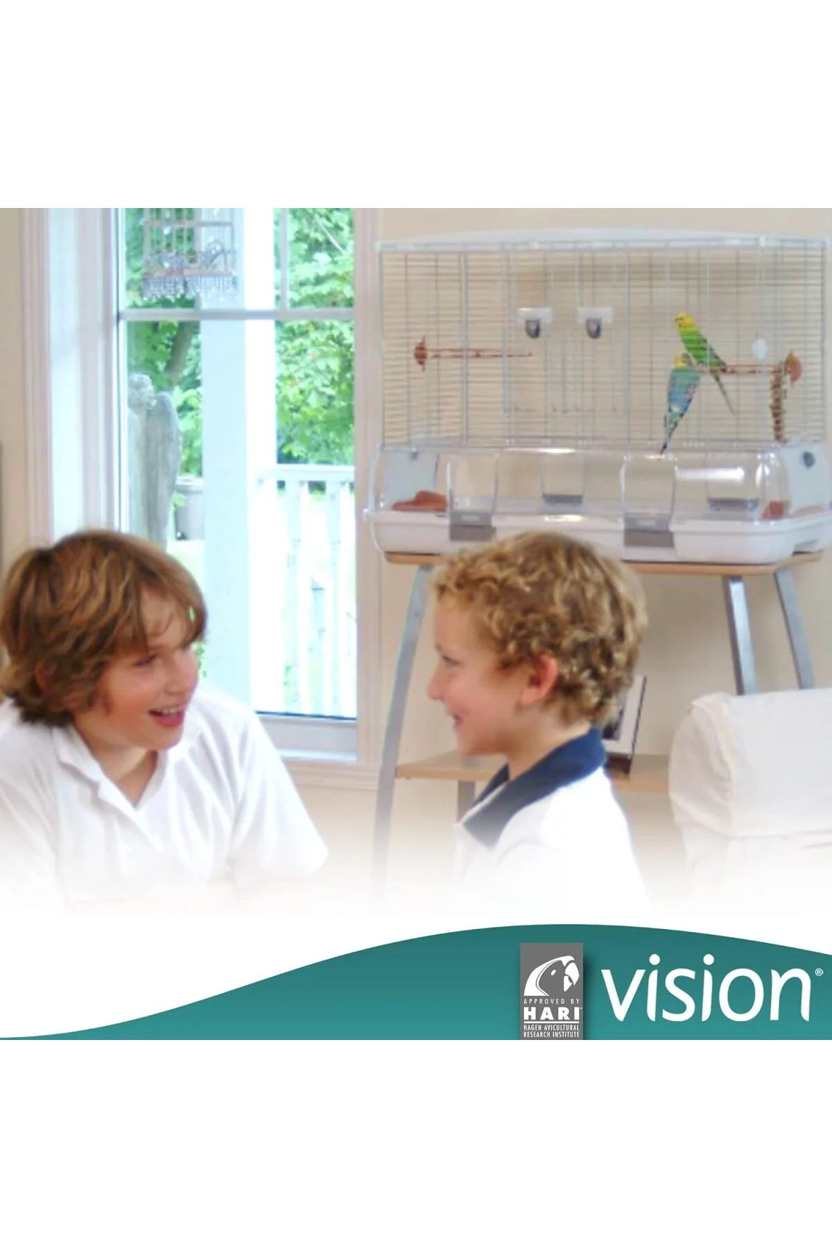 Vision Kafes S01 Kısa Vision Kafes S01 Kısa