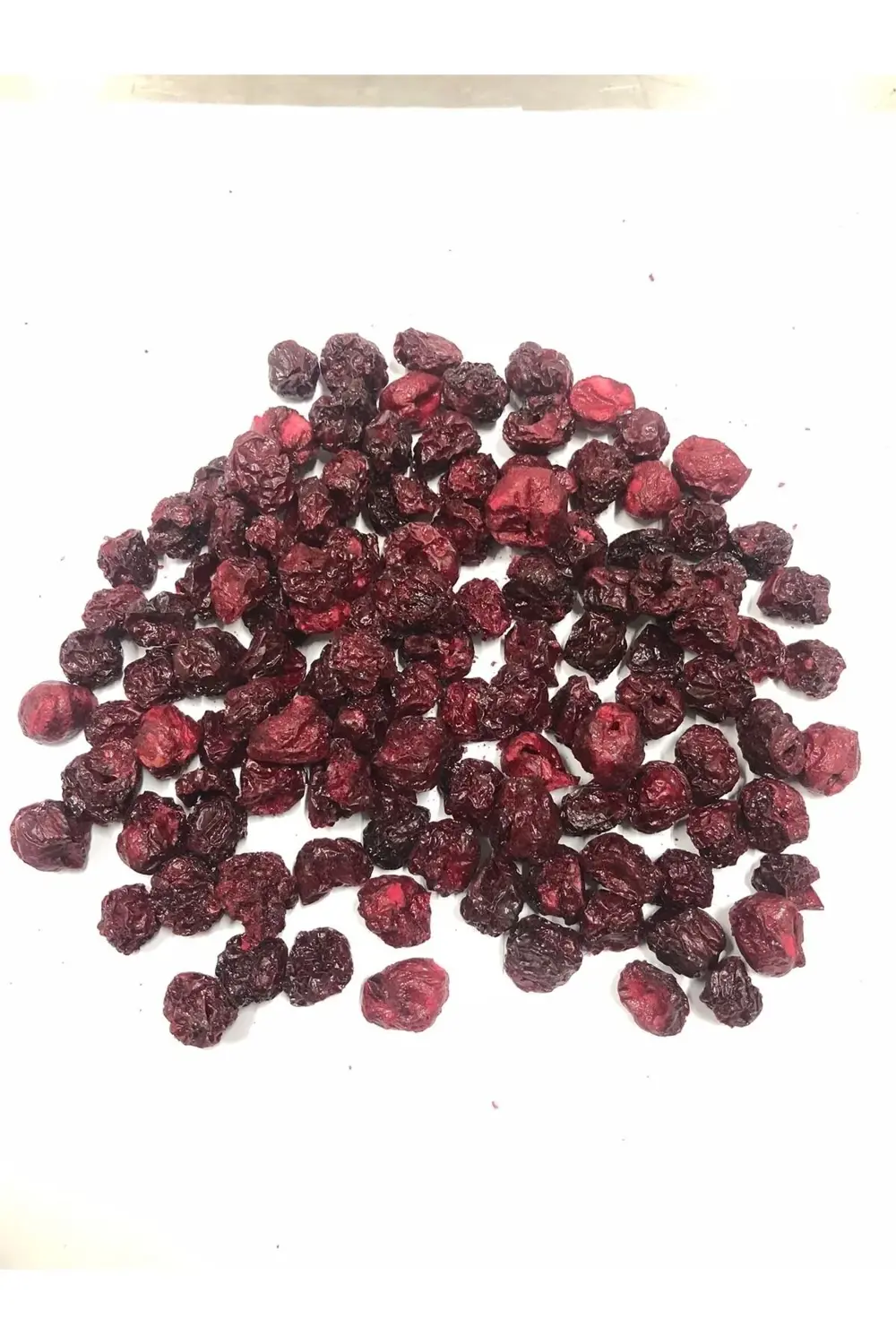 Vişne Kıtırı - Freeze Dried - Üretici Firmadan Dondurularak Kurut