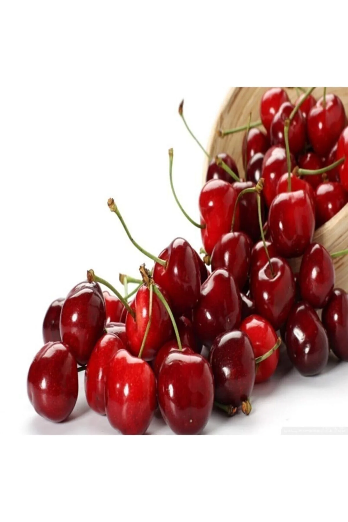 Vişne Tohumu 10 Adet Fiyatı, Yorumları ve Özellikleri