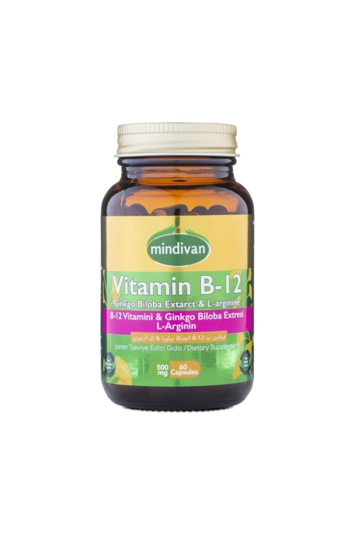 Vitamin B12 Ginkgo Biloba Kapsül L-arginin 500mg 60 Kapsül