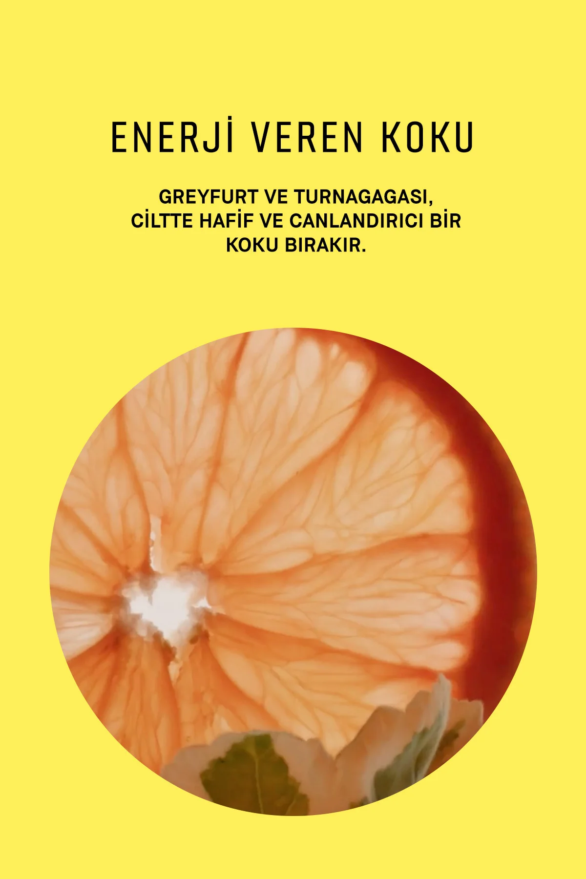 Vitamin Enriched C Vitaminli Nemlendirici Makyaj Bazı 50 ml 71617