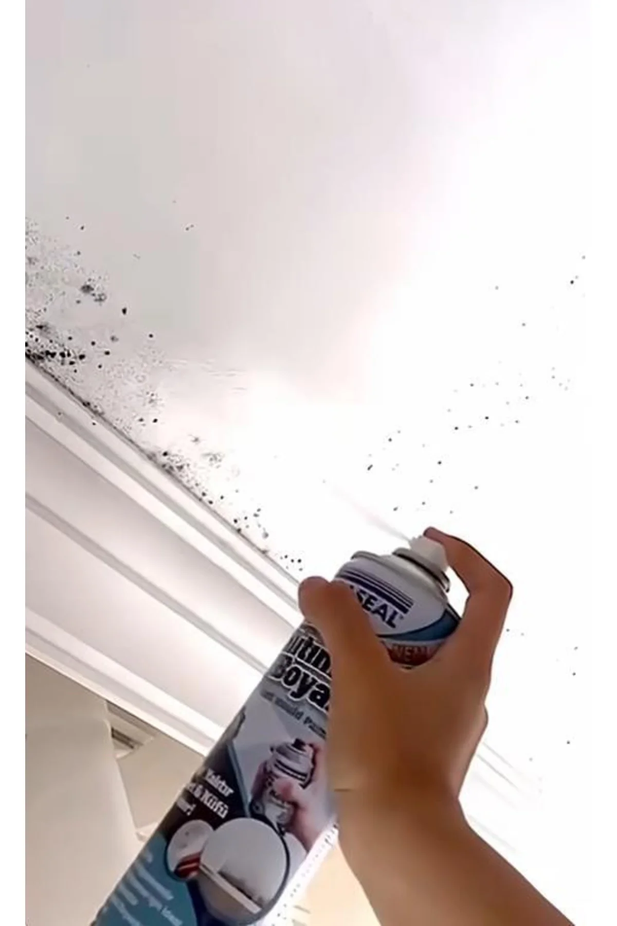 Vodaseal Anti Küf Yalıtım Boyası Sprey 500 ml