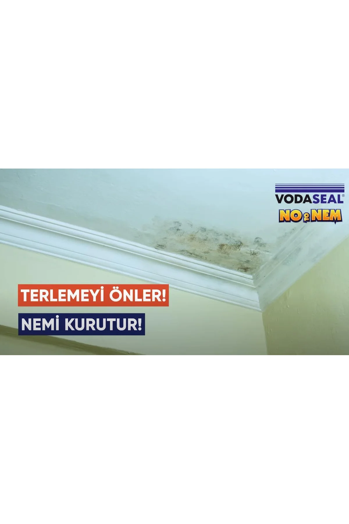 Vodaseal Anti Küf Yalıtım Boyası Sprey 500 ml
