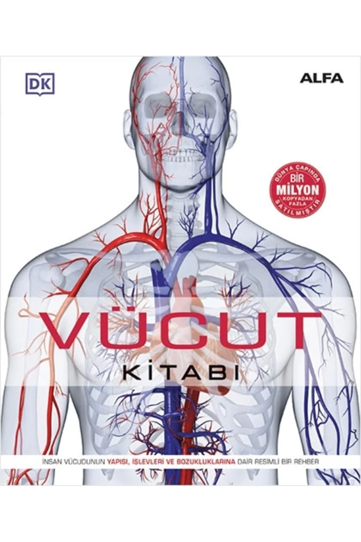 Vücut Kitabı (Ciltli) Steve Parker Kitabı 288 Sayfa Alfa Yayınları