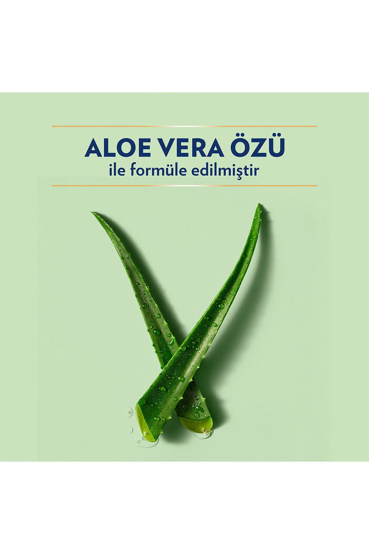 Vücut Losyonu Aloe Vera Ferahlığı Kuru Ciltler İçin 400 ml Vücut Losyonu Aloe Vera Ferahlığı Kuru Ciltler İçin 400 ml - Görsel 5