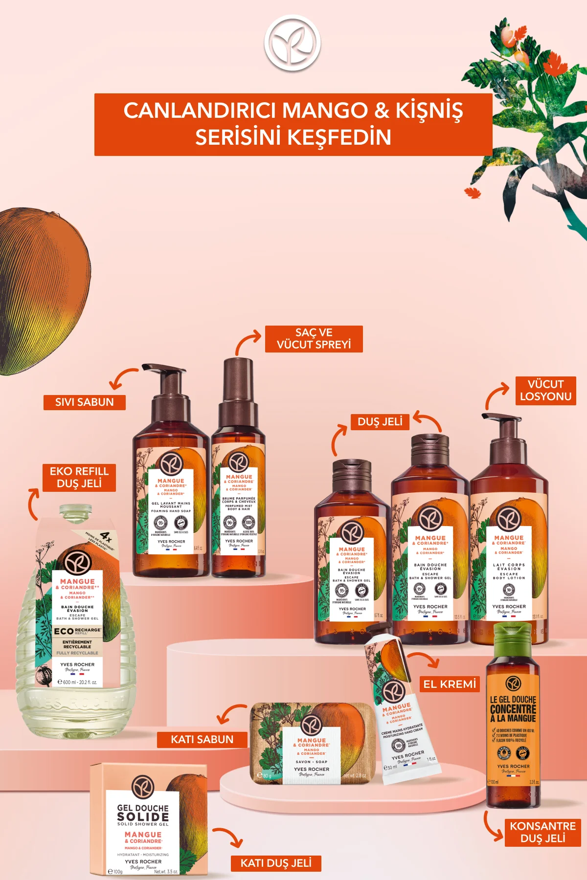 Vücut Losyonu - Nemlendirici Besleyici Canlandırıcı Mango Kişniş 