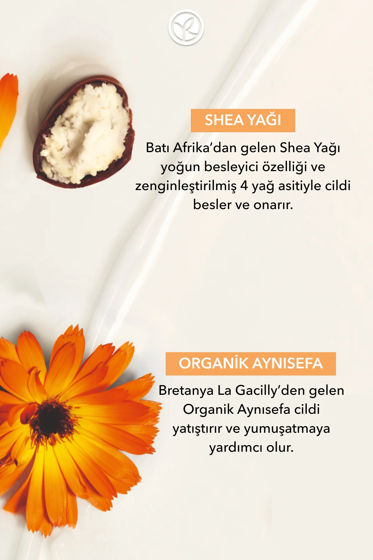 Vücut Peelingi - Arındırıcı ve Yumuşatıcı / Reparation