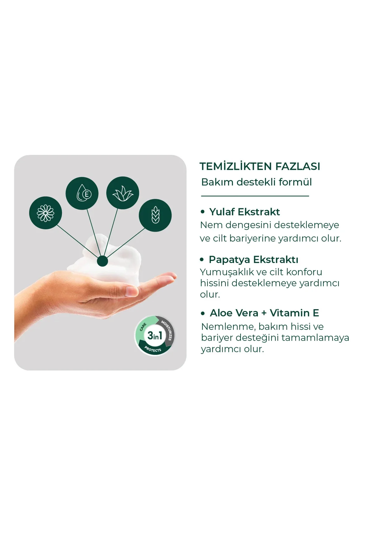 Vücut Temizleme Köpüğü Aerosol 400 ml x 2 adet Vücut Temizleme Köpüğü Aerosol 400 ml x 2 adet