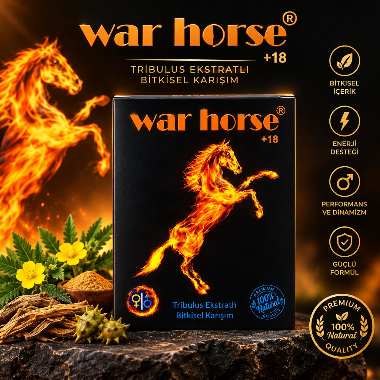 WAR HOURSE GİNSENGLİ MACUN 240 GR WAR HOURSE GİNSENGLİ MACUN 240 GR