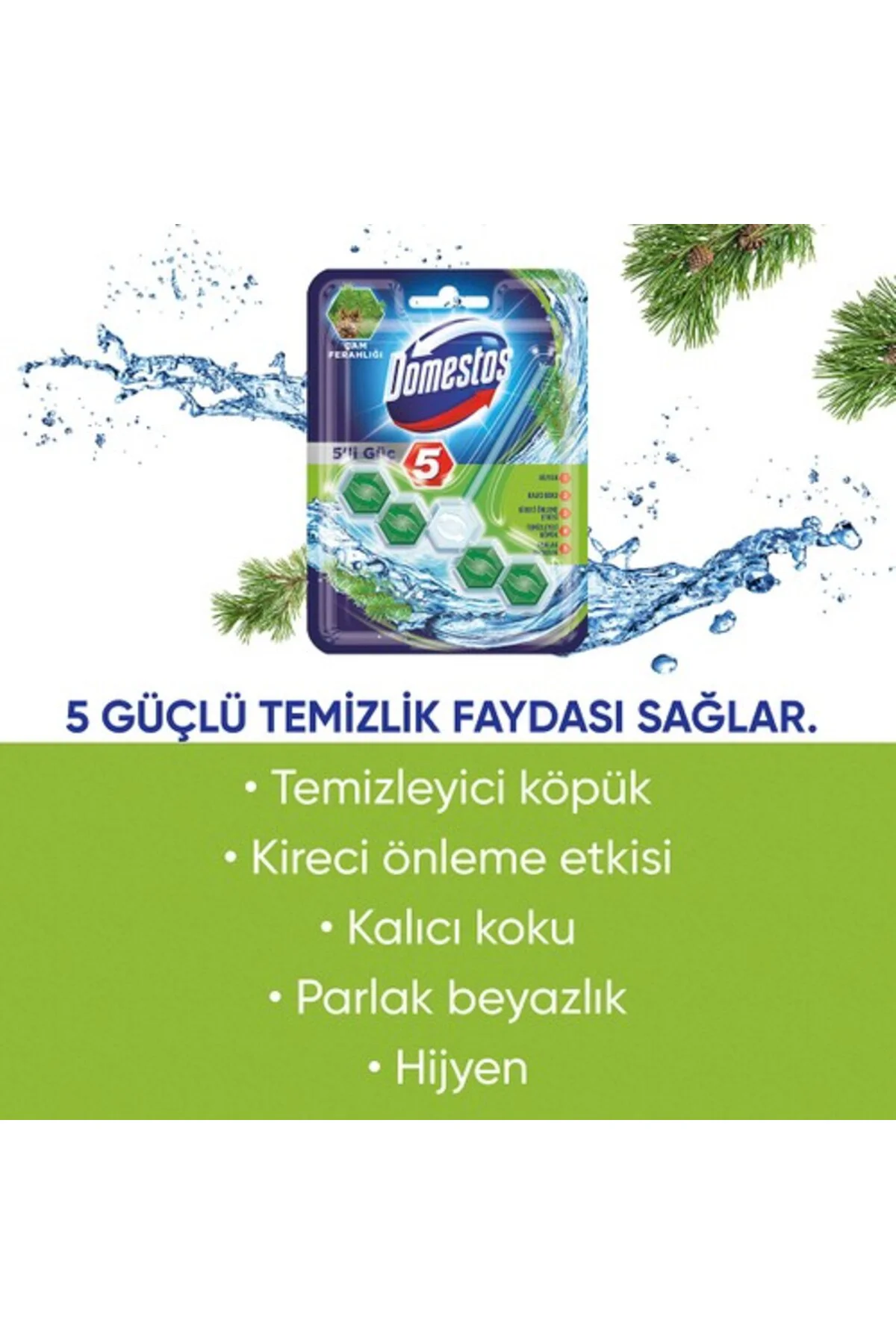 Wc Blok 5'Li Güç Çam Ferahlıgı 50GR 6863