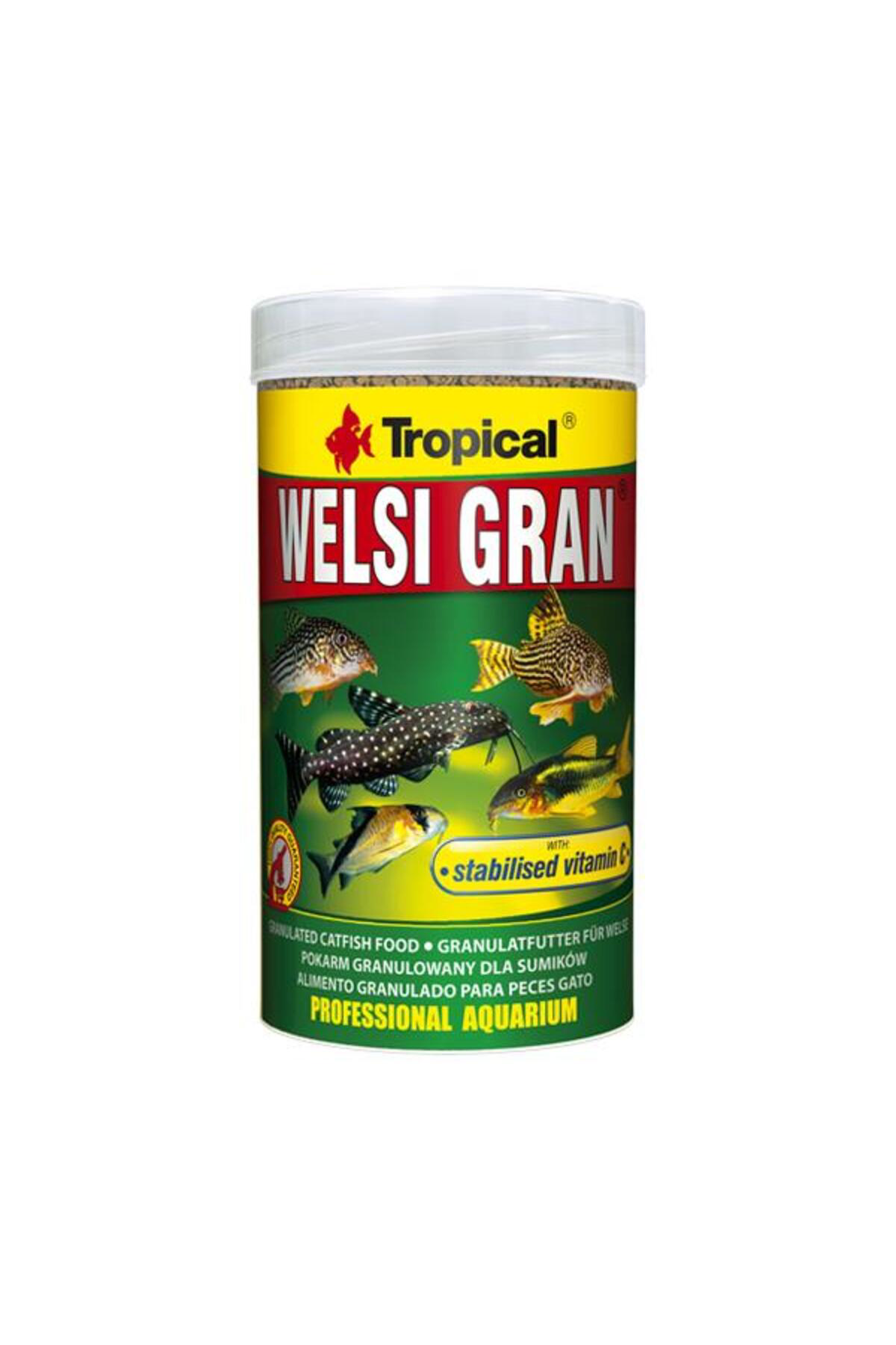 Welsi Gran 100gr Açık