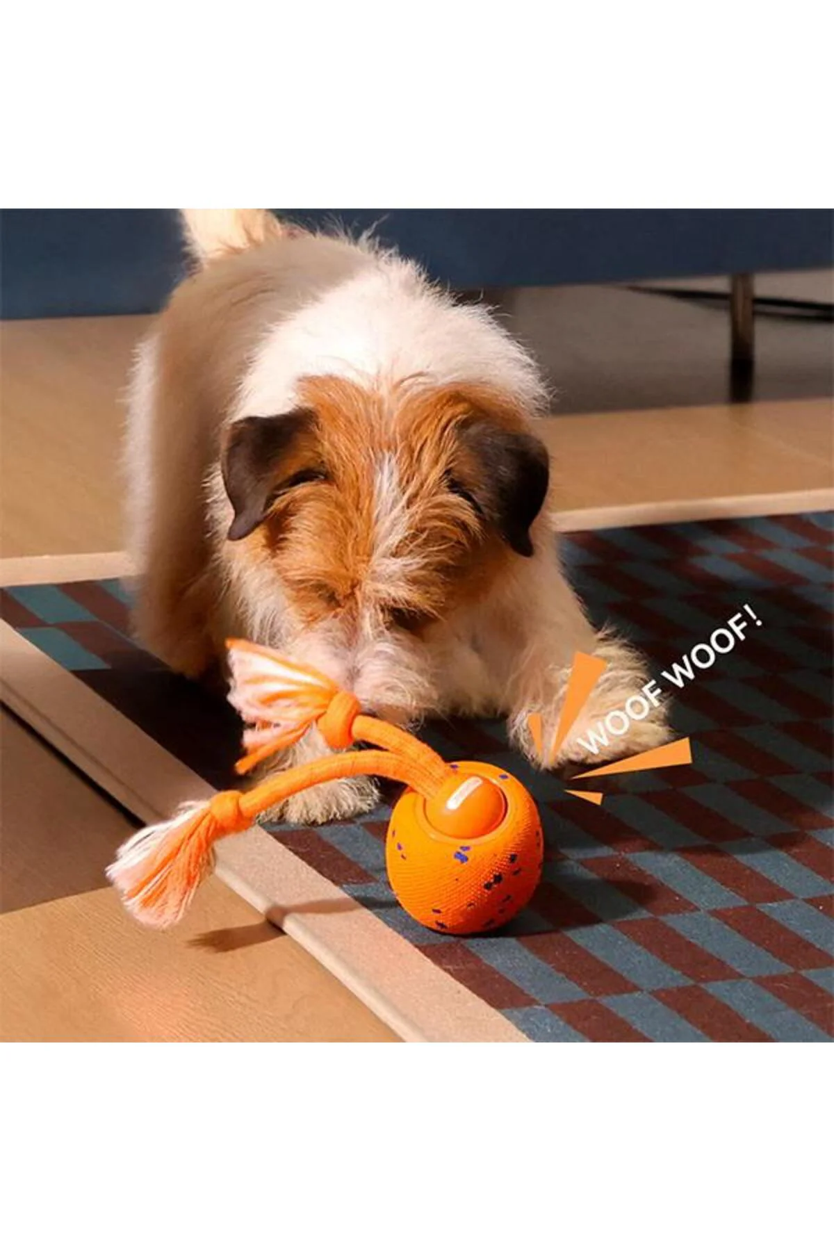 Cheerble Wicked Ball Rolly Şarjlı İnteraktif Köpek Oyun Topu Turuncu Cheerble Wicked Ball Rolly Şarjlı İnteraktif Köpek Oyun Topu Turuncu