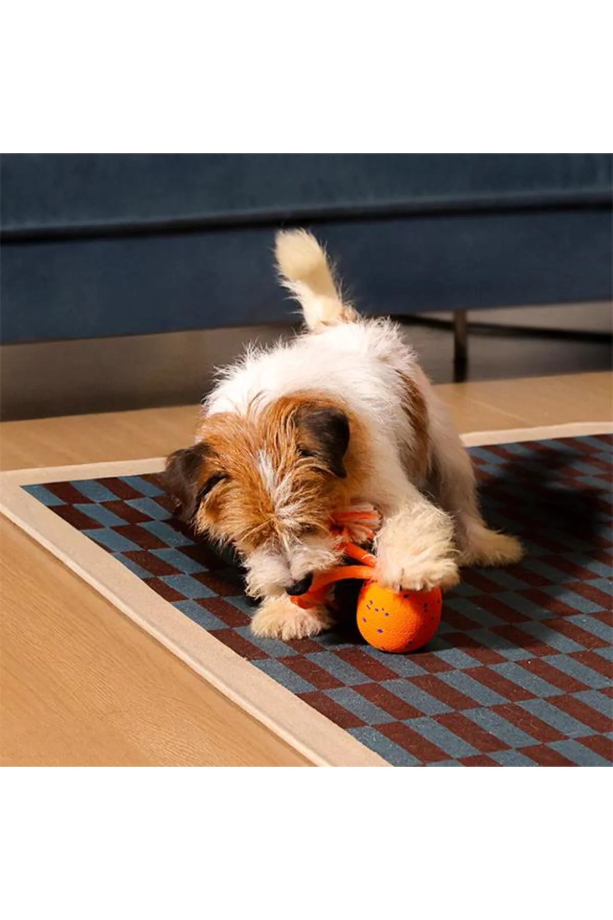 Cheerble Wicked Ball Rolly Şarjlı İnteraktif Köpek Oyun Topu Turuncu Cheerble Wicked Ball Rolly Şarjlı İnteraktif Köpek Oyun Topu Turuncu