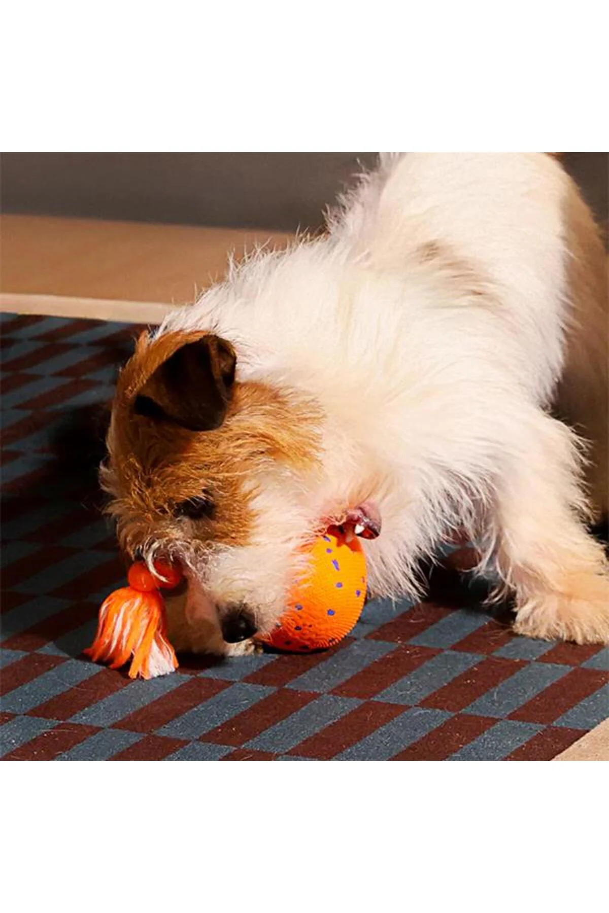 Cheerble Wicked Ball Rolly Şarjlı İnteraktif Köpek Oyun Topu Turuncu Cheerble Wicked Ball Rolly Şarjlı İnteraktif Köpek Oyun Topu Turuncu