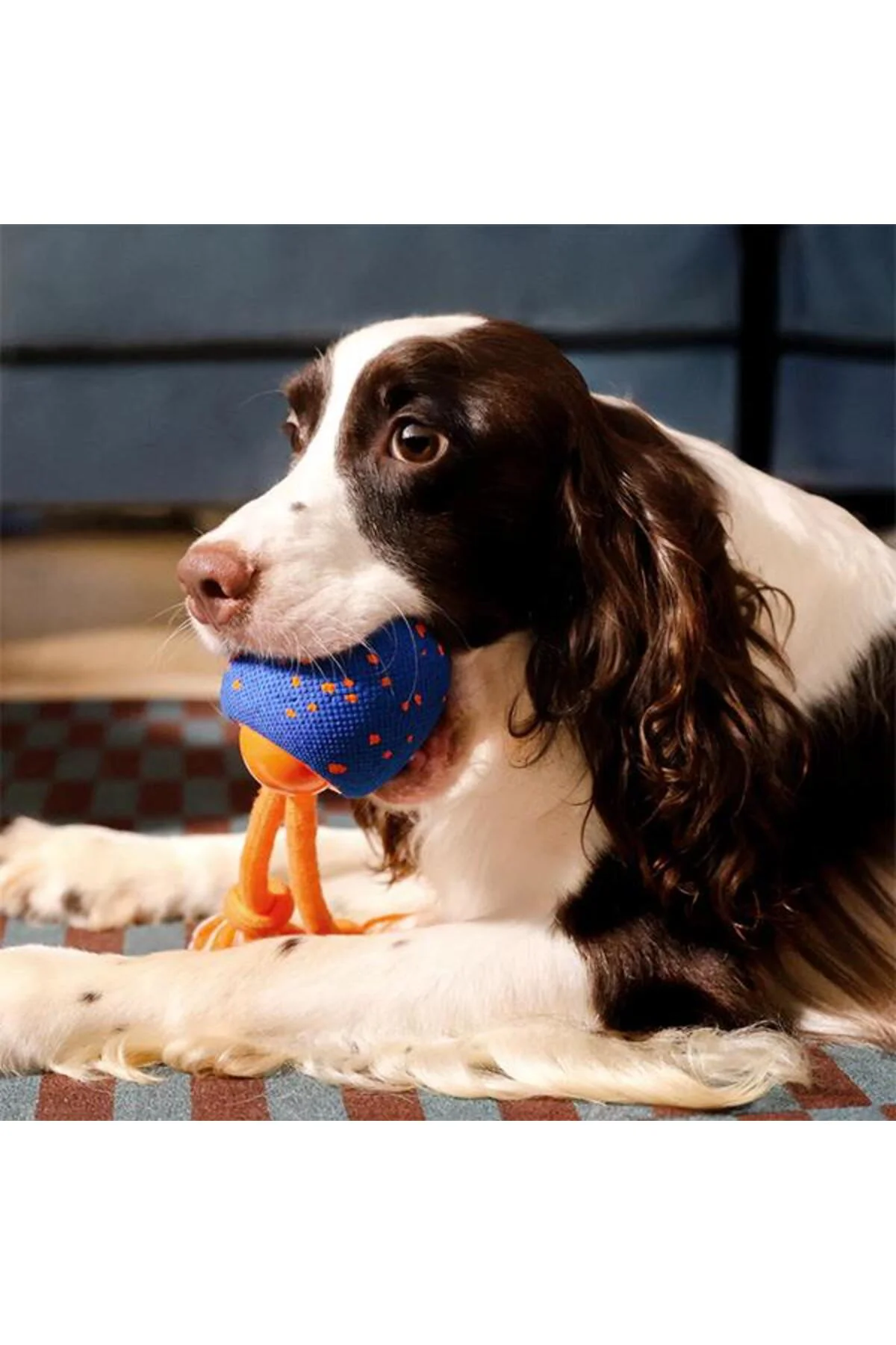 Wicked Ball Rolly Şarjlı İnteraktif Köpek Oyun Topu Mavi Wicked Ball Rolly Şarjlı İnteraktif Köpek Oyun Topu Mavi