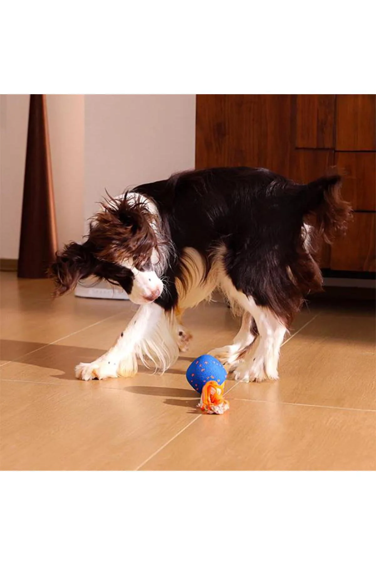 Wicked Ball Rolly Şarjlı İnteraktif Köpek Oyun Topu Mavi Wicked Ball Rolly Şarjlı İnteraktif Köpek Oyun Topu Mavi