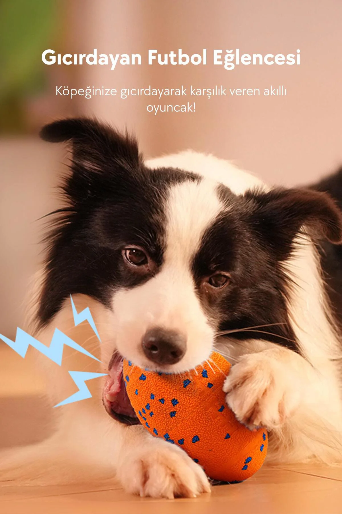 Wicked Rugby Şarjlı Hareketli Köpek Oyuncak Topu CWQ06 Wicked Rugby Şarjlı Hareketli Köpek Oyuncak Topu CWQ06