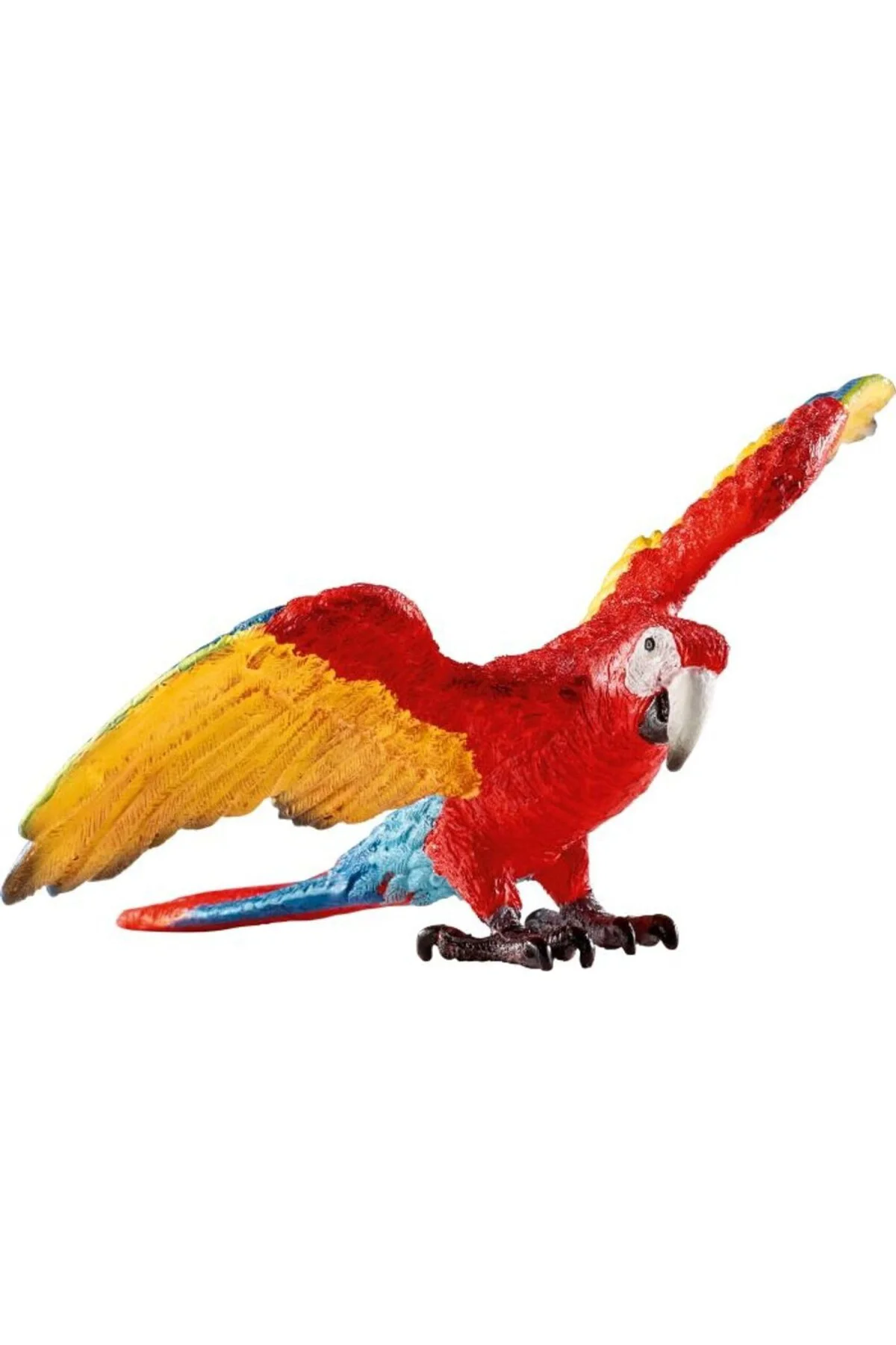 -Wild Life-Makav Papağanı -Wild Life-Makav Papağanı