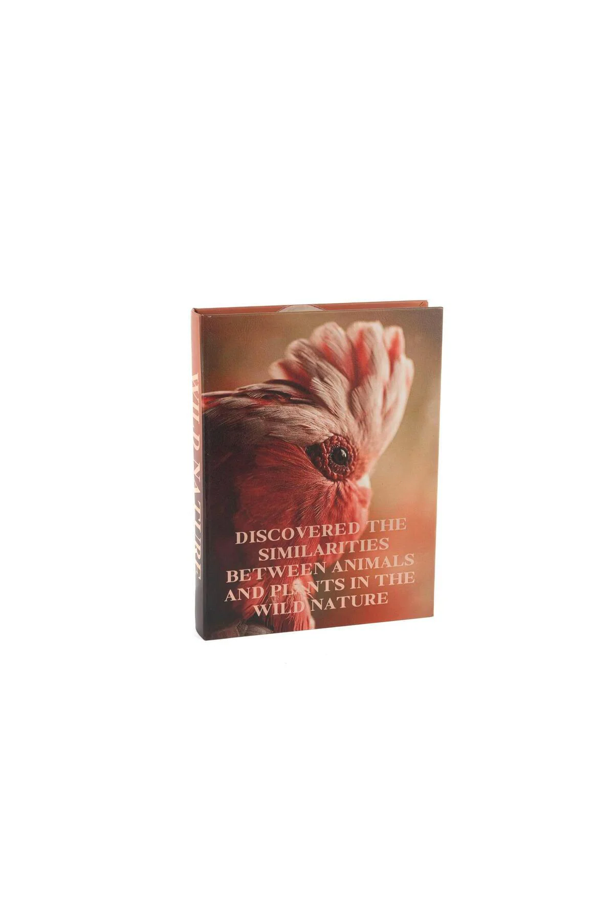 Wild Nature Kitap Kutu 28x22x4cm