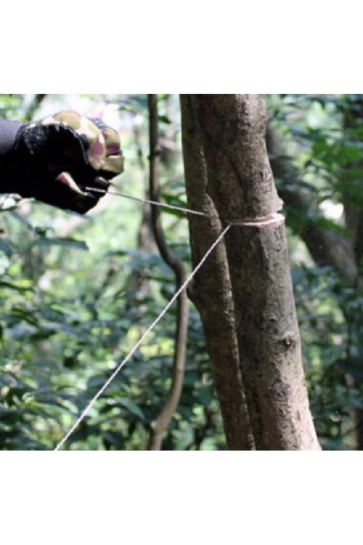 winshopp-Testere - Cep Tipi Tel Testere Ahşap Testeresi Budama Bı