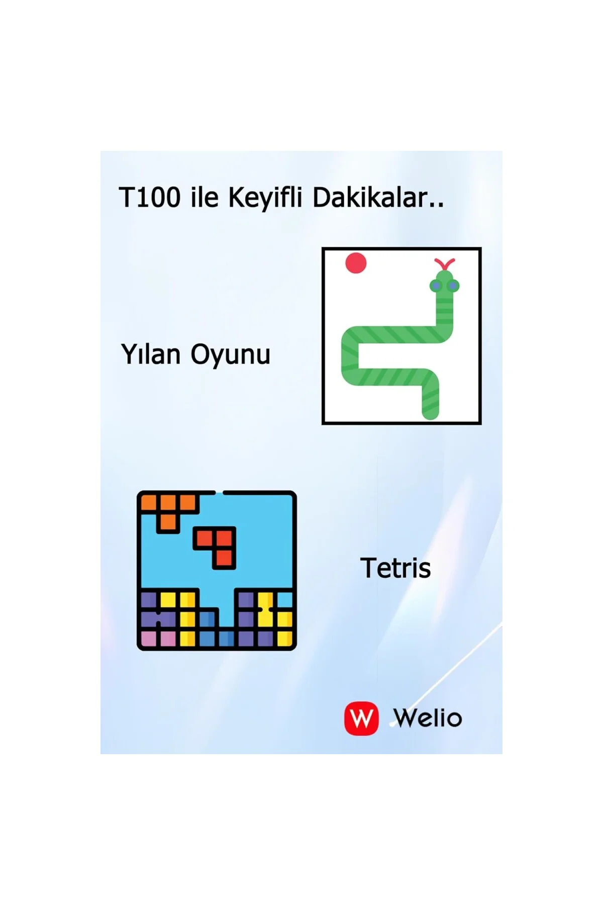 WKey T100 Tuşlu Kamerasız Asker/Yaşlı Cep Telefonu (Siyah- Gri)