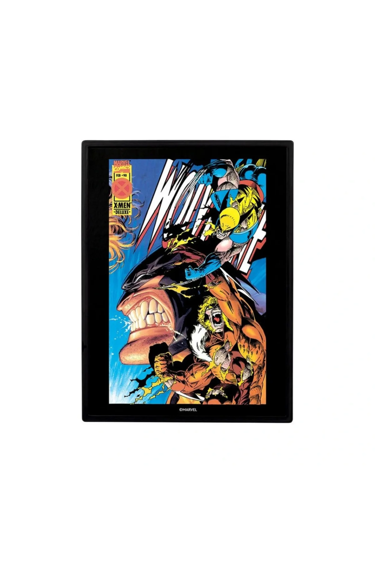 Wolverine Sabretooth'a Karşı