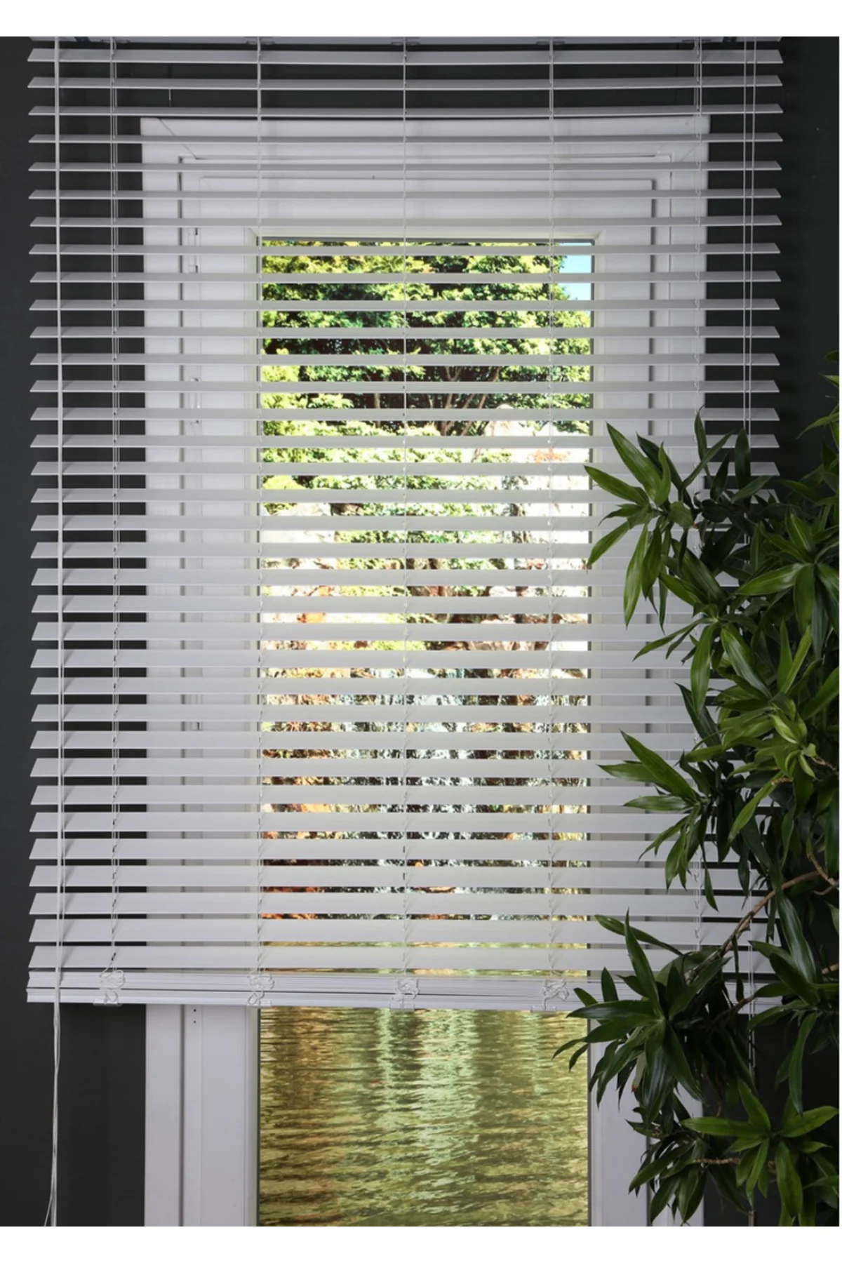 Wooden Blinds %100 Doğal Ahşap Jaluzi Perde 50mm,Alüminyum Kasalı Yüksek Kaliteli - Beyaz Mİ/01PW