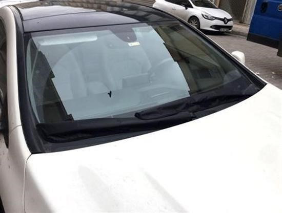 Woody Sofia ® 2 Adet Araba Silecek Donma  Engelleyici Silecek Koru