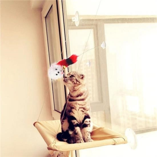 Woody Sofia 2li Vantuzlu Fareli Tüylü Hareketli Çanlı ve Esneyen 