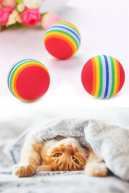 Woody Sofia 3lü Gökkuşağı Sünger Kedi Köpek Çiğneme Oyun Topu 4,2