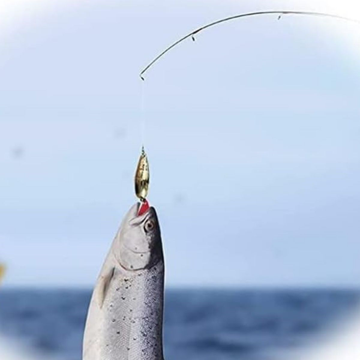 Woody Sofia  78 Parça Sahte Olta Yemleri Ve Balik Tutma Aksesuari 