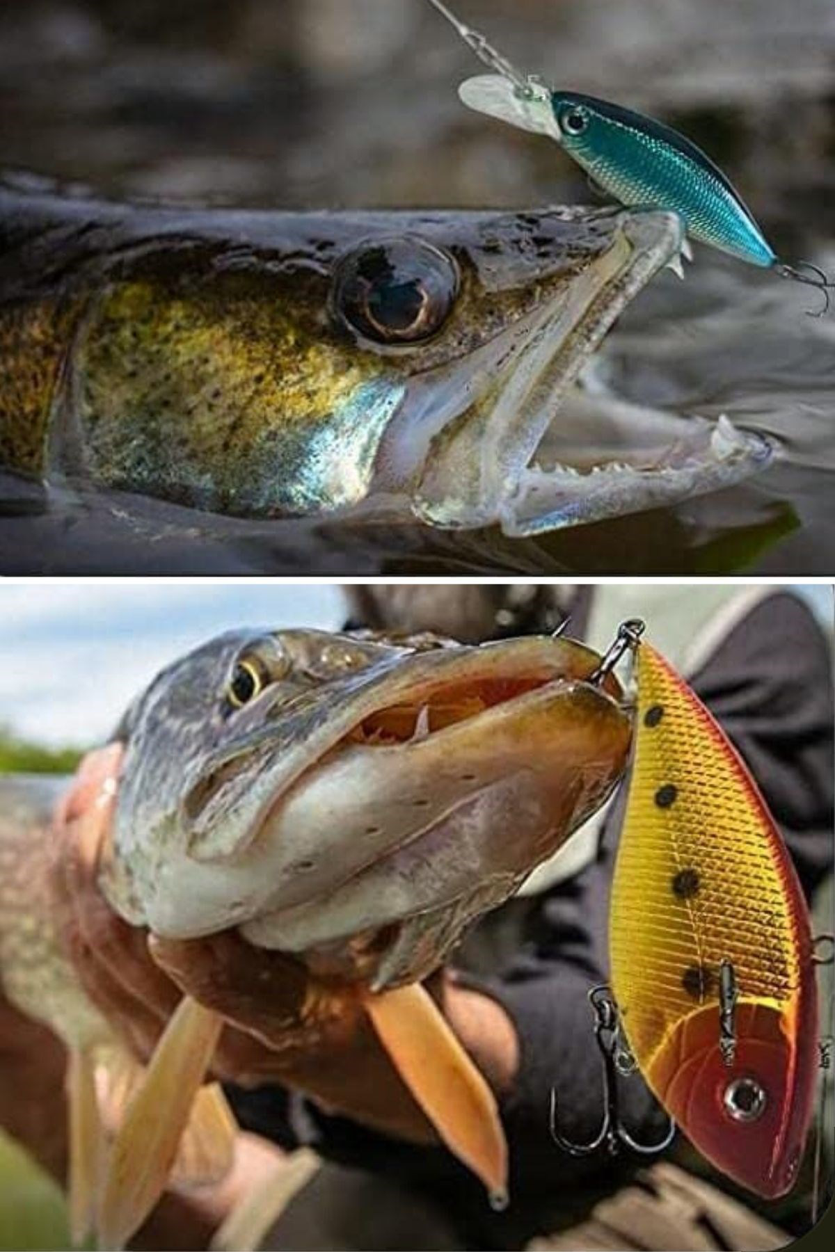 Woody Sofia  78 Parça Sahte Olta Yemleri Ve Balik Tutma Aksesuari 