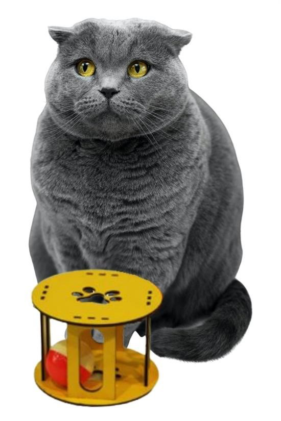 Woody Sofia Ahşap Kafes Renkli Toplu Kedi Patisi Desenli Sesli Ke Woody Sofia Ahşap Kafes Renkli Toplu Kedi Patisi Desenli Sesli Ke