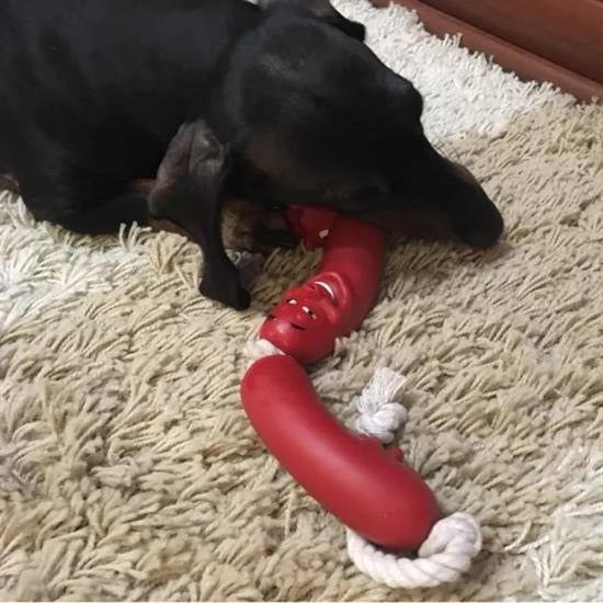 Woody Sofia Evcil Hayvanlar İçin Eğitici 4 Adet Sevimli Oyuncak S