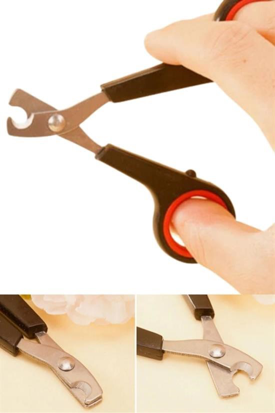 Woody Sofia Evcil Hayvan Tırnak Makası Ve Törpü Seti Manikür Pedi Woody Sofia Evcil Hayvan Tırnak Makası Ve Törpü Seti Manikür Pedi