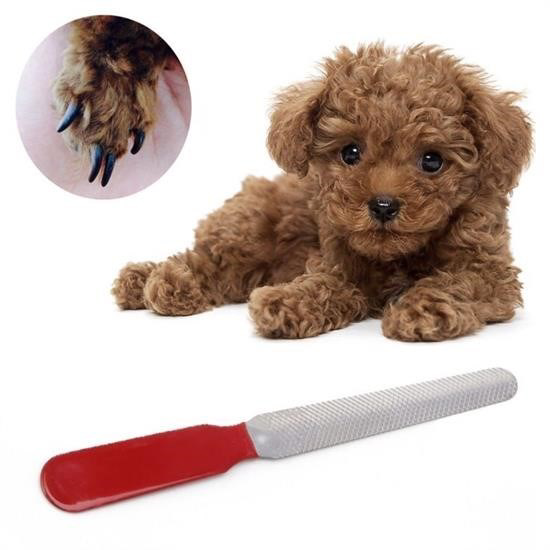 Woody Sofia Evcil Hayvan Tırnak Makası Ve Törpü Seti Manikür Pedi Woody Sofia Evcil Hayvan Tırnak Makası Ve Törpü Seti Manikür Pedi