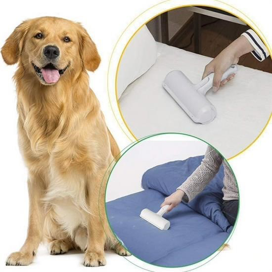 Woody Sofia Hazneli Kedi Köpek Evcil Hayvan Kazak Kıyafet Elbise Woody Sofia Hazneli Kedi Köpek Evcil Hayvan Kazak Kıyafet Elbise
