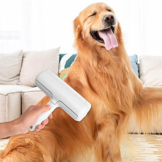 Woody Sofia Hazneli Kedi Köpek Evcil Hayvan Kazak Kıyafet Elbise Woody Sofia Hazneli Kedi Köpek Evcil Hayvan Kazak Kıyafet Elbise