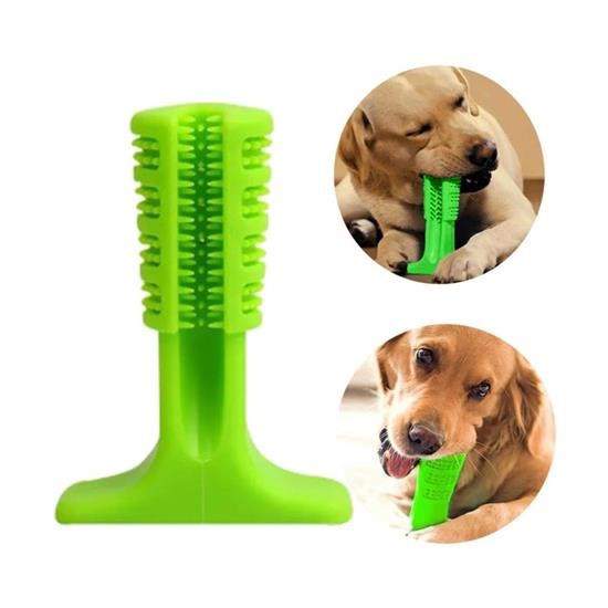 Woody Sofia Köpek Diş Temizleyici ve Kaşıyıcı Sağlıklı Küçük Boy 