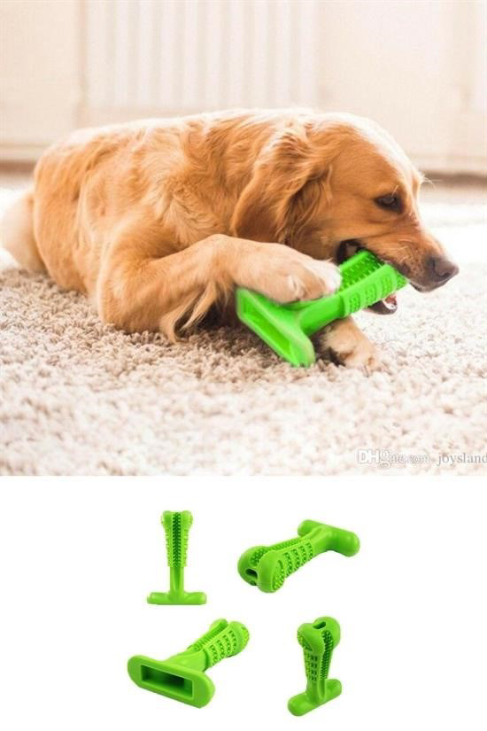 Woody Sofia Köpek Diş Temizleyici ve Kaşıyıcı Sağlıklı Küçük Boy 