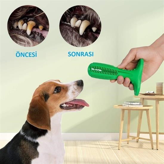 Woody Sofia Köpek Diş Temizleyici ve Kaşıyıcı Sağlıklı Küçük Boy 