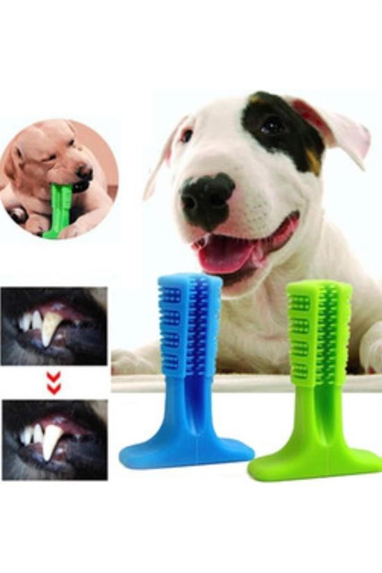 Woody Sofia Köpek Diş Temizleyici ve Kaşıyıcı Sağlıklı Küçük Boy 