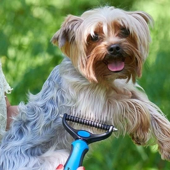 Woody Sofia Plastik Saplı Metal Kedi Köpek Bakım Kıtık Tüy Topak 