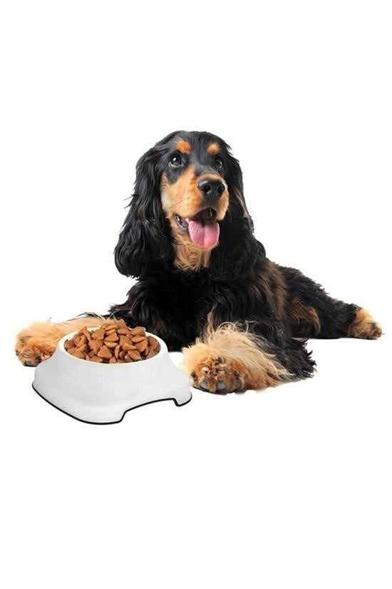 Woody Sofia Silikon Kaydırmaz Taban Plastik Kedi ve Köpek Mama ve